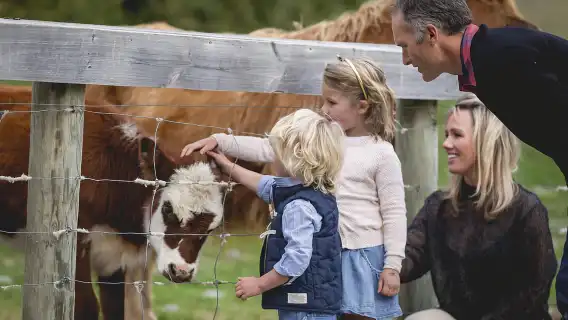 Queenstown: Queenstown Lake Cruise and Walter Peak Farm Tour