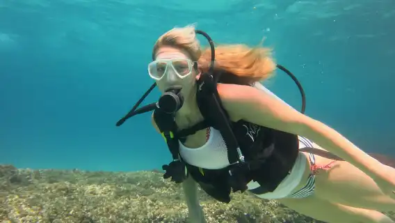 มายอร์ก้า: ลองดำน้ำลึกในเขตอนุรักษ์ธรรมชาติทางทะเล