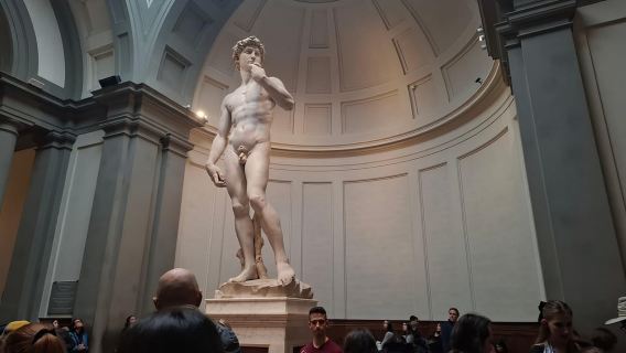 Florenz: Accademia-Galerie-Ticket mit optionalem Audioguide