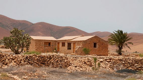 From Lanzarote: Fuerteventura Day Trip
