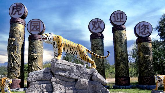 Однодневная экскурсия в Харбин: Солнечный остров (включая павильон панд), Полярный павильон и Парк амурских тигров