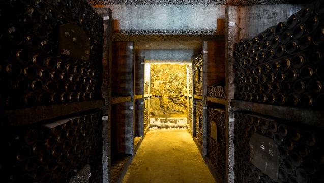 Porto: Tour della Cantina Burmester con Degustazione e Opzioni di Abbinamento
