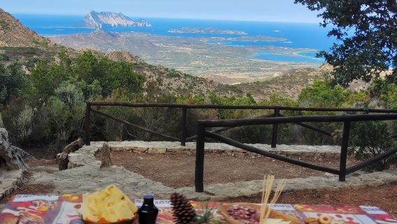 Rio Pitrisconi: Kembara Berjalan Kaki dan 4x4 di Monte Nieddu