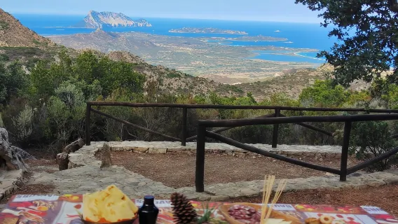 Rio Pitrisconi: Trekking e 4x4 nel Monte Nieddu