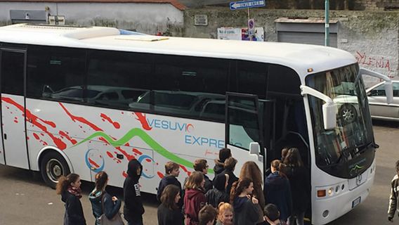 Dari Ercolano: Tiket Masuk Taman Vesuvio dan Bas Pergi Balik