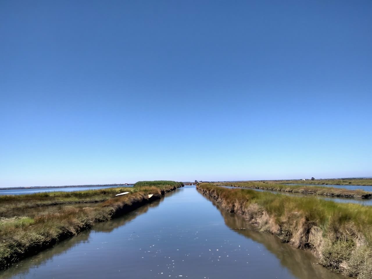 Industry or Nature Boat Tour | Speedboat