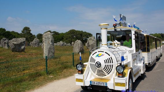 Tour di Carnac: Meraviglie Megalitiche e La Trinite Sur Mer