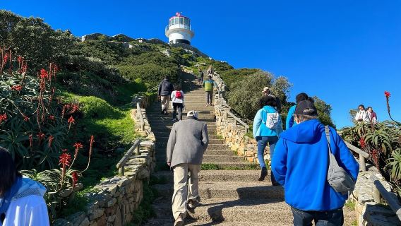 Excursión privada de un día al Cabo de Buena Esperanza y avistamiento de pingüinos