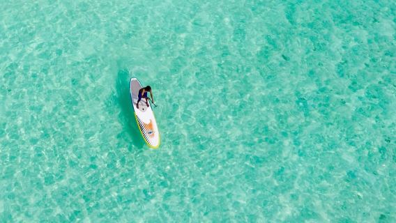 Moreton Island: tour premium di snorkeling e avvistamento delfini a Tangalooma