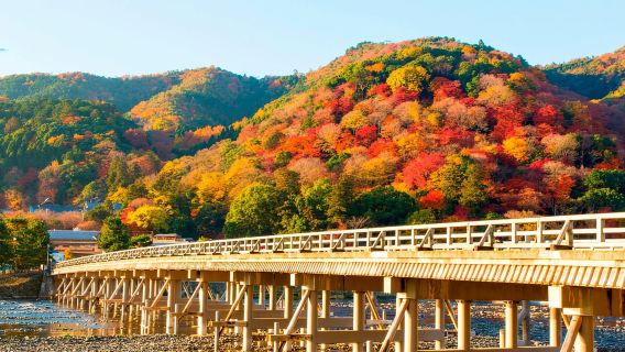 Osaka to Kyoto: Arashiyama Bamboo Grove Small Group Tour