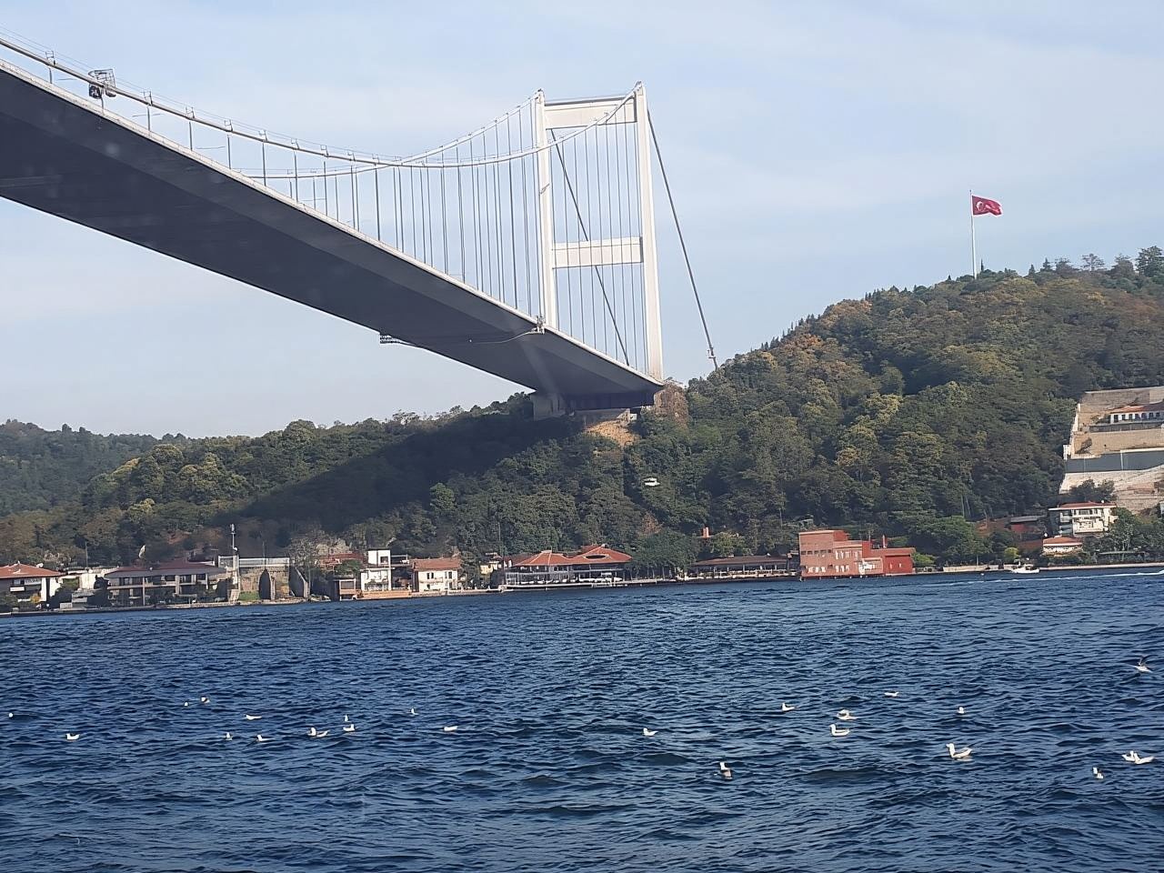 Istanbul: Bosphorus Tour With Whirling Dervish Show