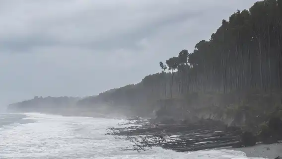 From Queenstown: Scenic One-Way Tour to Franz Josef