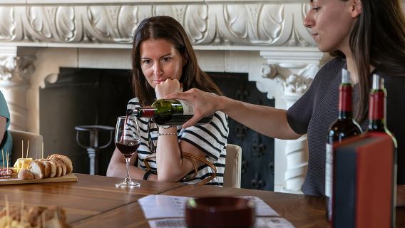 Degustazione di vini Medoc o Saint Emilion e Chateau di Bordeaux