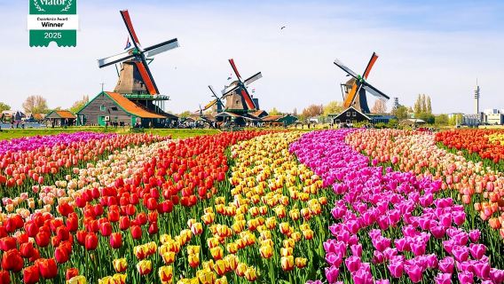 Private Zaanse Schans & Volendam Tour: Windmills, Cheese & Clogs