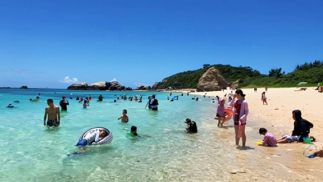 日本の沖縄県渡嘉敷島へのワンデーツアー。クラゲの海でのダイビングシュノーケリングでサンゴ礁やウミガメに出会えます。