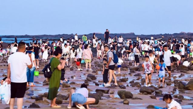 日照自由行包車一日遊帶隊趕海