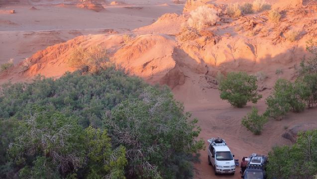 Transport avec chauffeur (SUV, Van, Minibus)