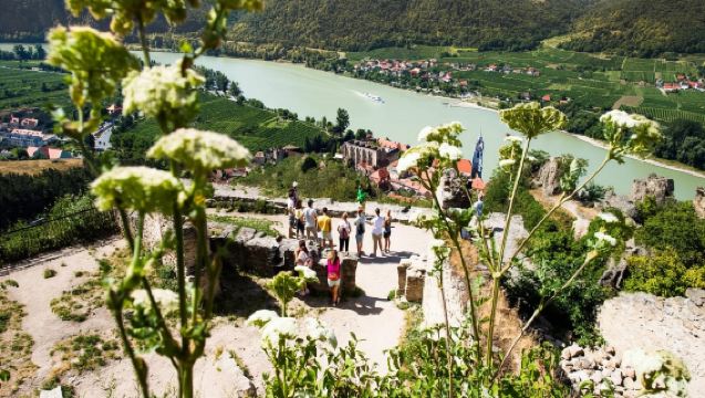 The Secrets of Wachau Valley with Wine Tastings and Boat Cruise - Small Group Tour