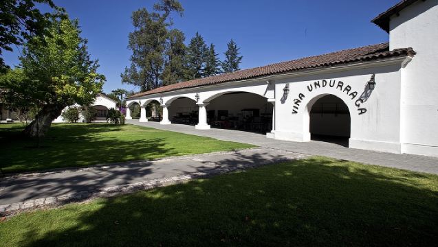 Biglietto d'ingresso per il Tour Undurraga Sibaris