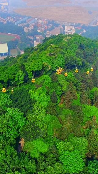 広州プライベート日帰りツアー：西樵山＆黄飛鴻獅子舞博物館