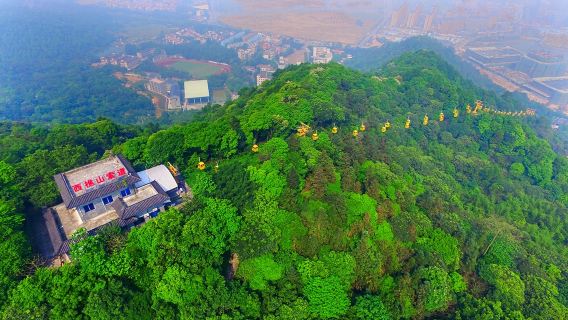 Tour tư nhân Quảng Châu trong ngày: Núi Xiqiao & Bảo tàng Múa lân Wong Fei Hung