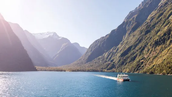 tour di un giorno a Milford Sound, Nuova Zelanda [include crociera a Milford Sound e pranzo gratuito]