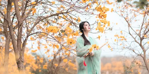 鄭州Trip Moments【攝影師一對一跟拍約拍陪拍婚紗寫真底片全送/多語言溝通翻譯】