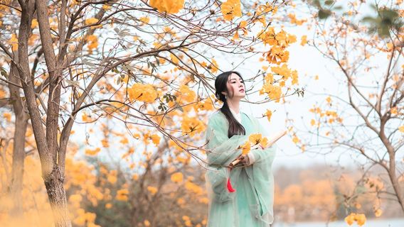 鄭州旅行写真【ドライバーとディレクター + 旅行写真撮影 + 結婚式の写真とマイクロフィルムの航空写真撮影 + メイクと衣料品&アクセサリー+ 旅程のカスタマイズ + 無料ネガ】