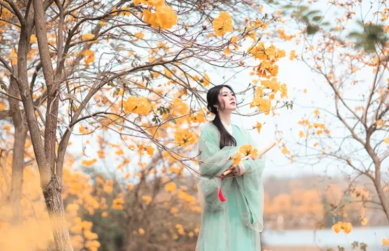 鄭州Trip Moments【攝影師一對一跟拍約拍陪拍婚紗寫真底片全送/多語言溝通翻譯】