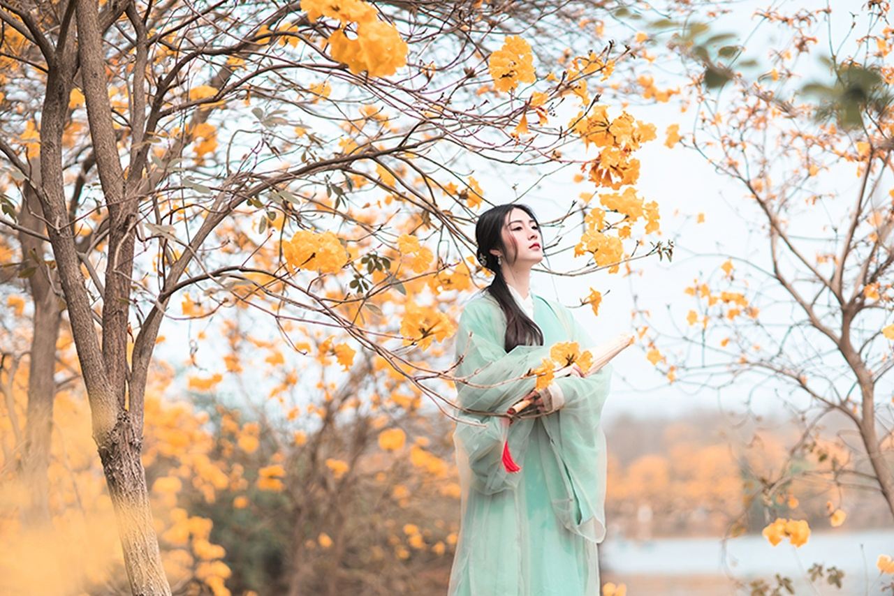 Zhengzhou Trip Moments[Driver-guide + travel photography + wedding aerial microfilm + makeup & costumes + customized itinerary + all photos included]