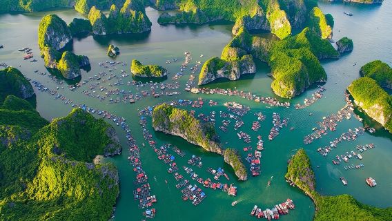 Lan Ha Bay Day Tour from Hanoi – All-Inclusive Cruise Experience