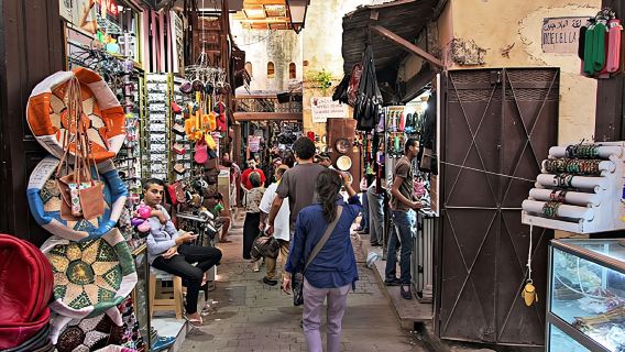 A half-day guided visit of FEZ MEDINA