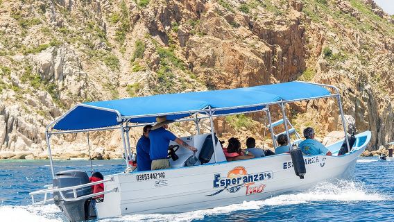 Land's End Experience – Arch, Beaches & Marine Life