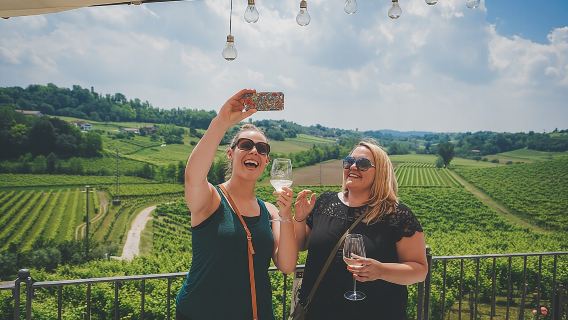 From Venice: Prosecco Wine Region Tour with 2 Tastings
