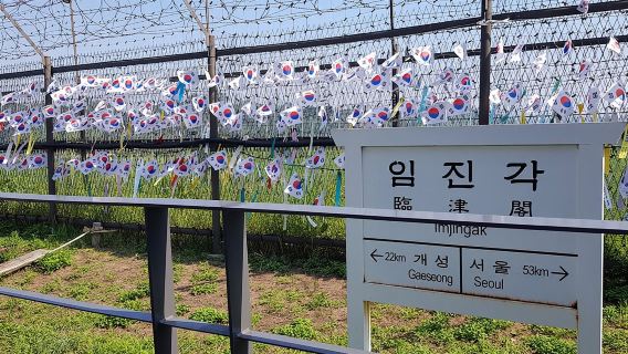 Half Day Korea DMZ Tour (hotel pick up) / opt: suspension bridge