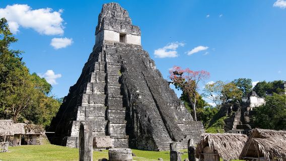 Tagesausflug nach Tikal mit lokalem Mittagessen ab San Ignacio