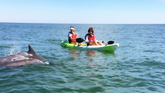 Excursión ecológica en kayak para grupos pequeños para avistar delfines