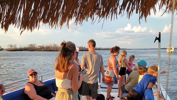 Tour panoramico e avvistamento delfini a Fort Myers Beach con rinfreschi inclusi