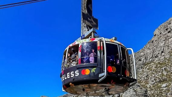 Table Mountain,Cape Point & Penguins Shared Tour, From Cape Town