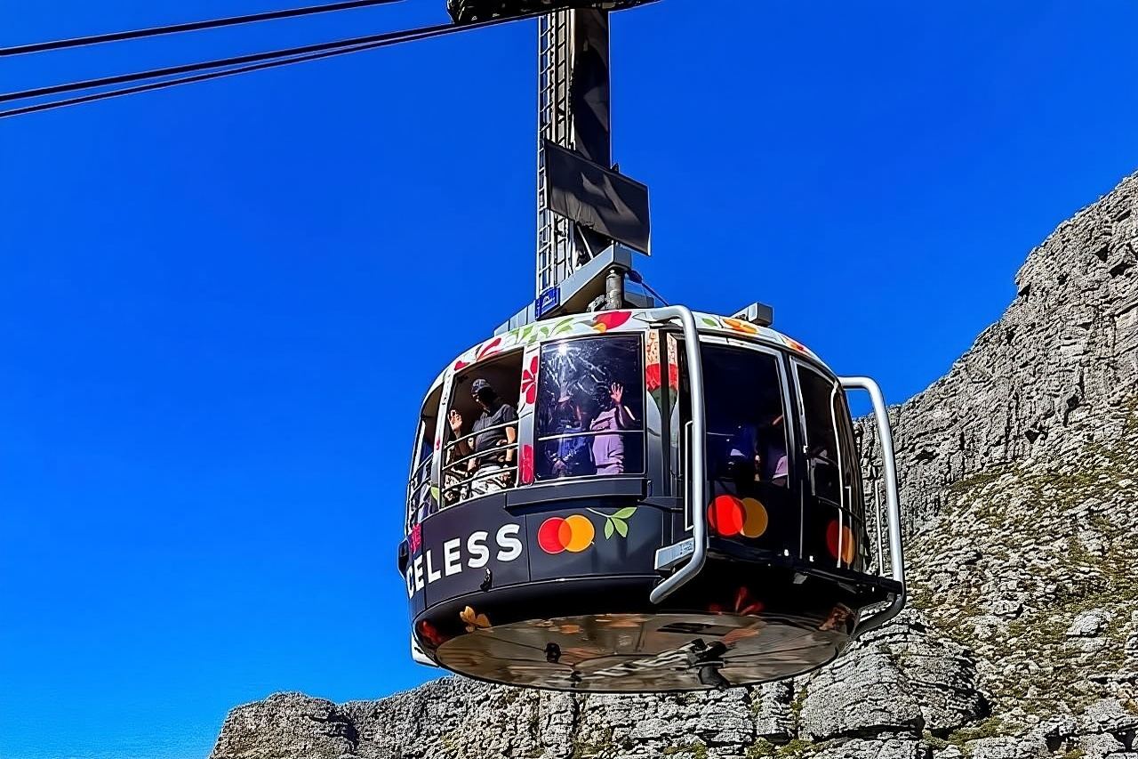 Table Mountain,Cape Point & Penguins Shared Tour, From Cape Town