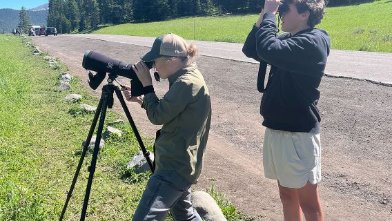 Safari de vida silvestre de Yellowstone en el valle de Lamar desde Bozeman