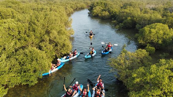 Eco Kayaking Adventure โ Mangrove Exploration at Purple Island