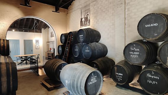 Half day trip to a winery from Seville
