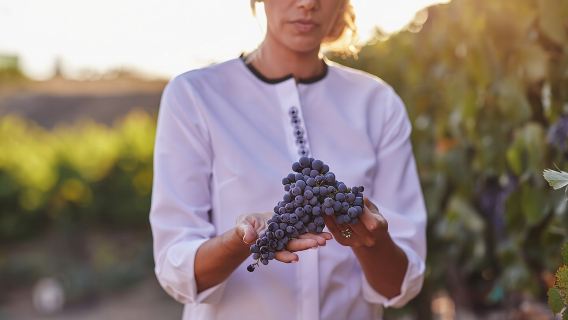 Chuyến tham quan Nhà máy rượu vang Europa Village bao gồm 8 lần nếm thử và 3 lần kết hợp ẩm thực