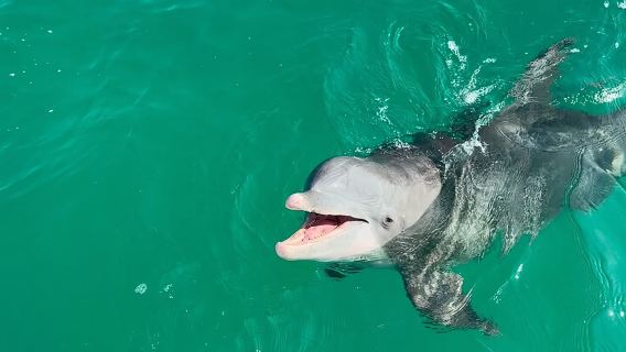 Panama City BeachTours