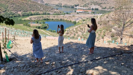 From Porto Private Tour Douro Valley two Wineries, Lunch and Boat.