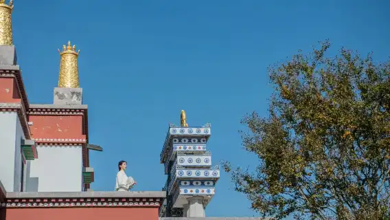 上海出發&贈定制文創冰箱貼】無錫靈山勝境+太湖黿頭渚一日遊