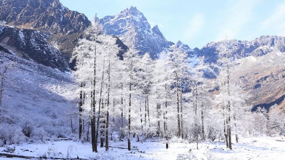 Bipenggou Day Tour [Optional Premium Private Tour/Morning Pickup/Including Sightseeing/Travel Photography]|In-depth attraction tour