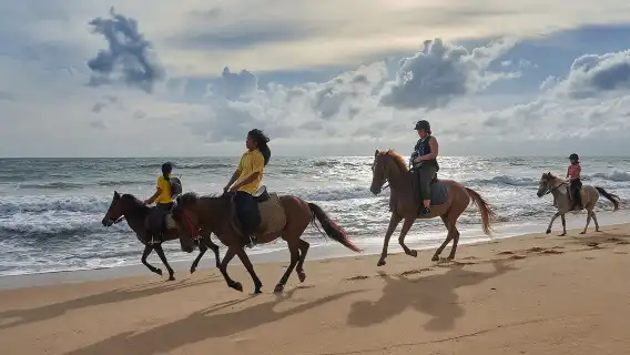 普吉島麥考海灘騎馬俱樂部Phuket Riding Club