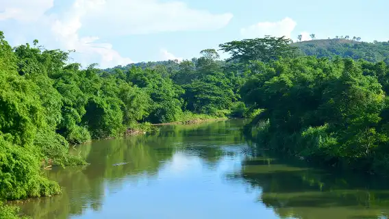 沙巴亞庇天鏡紅樹林半日遊真kawakawa螢火蟲長鼻猴一日遊
